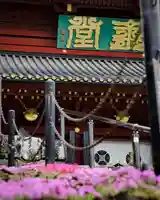 輪王寺(栃木県)