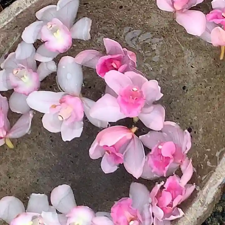 京都祇園堂(廃寺?)の手水舎