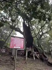 都萬神社(宮崎県)