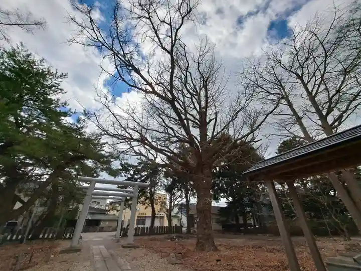 有川大神宮(北海道)