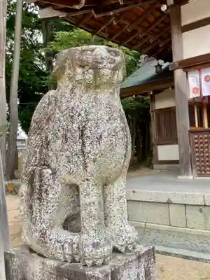 大宮賣神社の狛犬