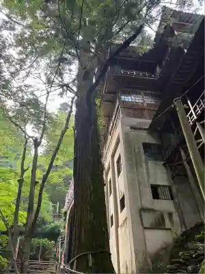 仙龍寺(愛媛県)