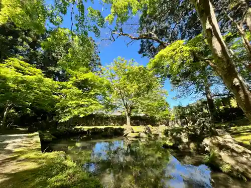 北畠神社の{uncategorized: "未分類", other: "その他", undefined: "問題あり", building: "その他建物", grave: "お墓", sacred_gate: "鳥居", guardian: "狛犬", statue: "像", buddha: "仏像", history: "歴史", nature: "自然", garden: "庭園", animal: "動物", pagoda: "塔", temizu: "手水舎", mountain_gate: "山門・神門", sanctuary: "本殿・本堂", subordinate: "末社・摂社", art: "芸術", scenery: "景色", jizo: "地蔵", ema: "絵馬", goshuin: "御朱印", omikuji: "おみくじ", items: "授与品その他", amulet: "お守り", goshuincho: "御朱印帳", eats: "食事", festival: "お祭り", votive_dance: "神楽", shichigosan: "七五三参", wedding: "結婚式", experience: "体験その他", initially: "初詣", around: "周辺", anti_infection: "感染症対策"}
