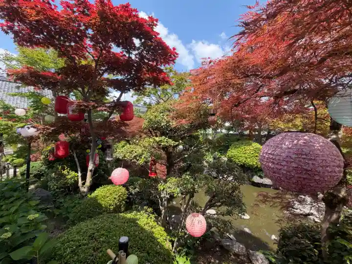おふさ観音(観音寺)の{uncategorized: "未分類", other: "その他", undefined: "問題あり", building: "その他建物", grave: "お墓", sacred_gate: "鳥居", guardian: "狛犬", statue: "像", buddha: "仏像", history: "歴史", nature: "自然", garden: "庭園", animal: "動物", pagoda: "塔", temizu: "手水舎", mountain_gate: "山門・神門", sanctuary: "本殿・本堂", subordinate: "末社・摂社", art: "芸術", scenery: "景色", jizo: "地蔵", ema: "絵馬", goshuin: "御朱印", omikuji: "おみくじ", items: "授与品その他", amulet: "お守り", goshuincho: "御朱印帳", eats: "食事", festival: "お祭り", votive_dance: "神楽", shichigosan: "七五三参", wedding: "結婚式", experience: "体験その他", initially: "初詣", around: "周辺", anti_infection: "感染症対策"}