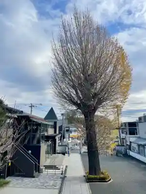 廣源院東福寺(東京都)