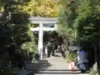 江東天祖神社の鳥居