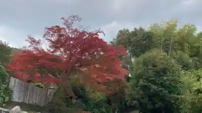 二尊院(京都府)