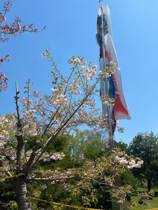 多賀神社の{uncategorized: "未分類", other: "その他", undefined: "問題あり", building: "その他建物", grave: "お墓", sacred_gate: "鳥居", guardian: "狛犬", statue: "像", buddha: "仏像", history: "歴史", nature: "自然", garden: "庭園", animal: "動物", pagoda: "塔", temizu: "手水舎", mountain_gate: "山門・神門", sanctuary: "本殿・本堂", subordinate: "末社・摂社", art: "芸術", scenery: "景色", jizo: "地蔵", ema: "絵馬", goshuin: "御朱印", omikuji: "おみくじ", items: "授与品その他", amulet: "お守り", goshuincho: "御朱印帳", eats: "食事", festival: "お祭り", votive_dance: "神楽", shichigosan: "七五三参", wedding: "結婚式", experience: "体験その他", initially: "初詣", around: "周辺", anti_infection: "感染症対策"}