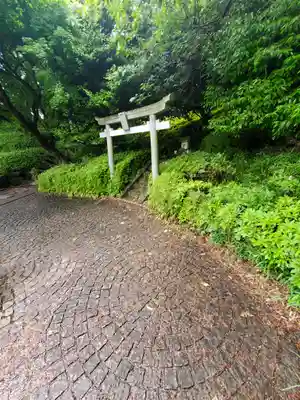 勝姫稲荷神社の鳥居