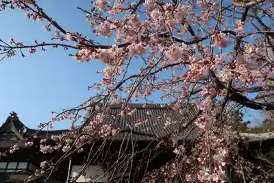 関善光寺(岐阜県)