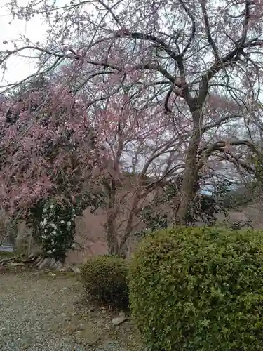 栄存神社(宮城県)