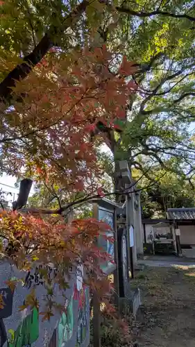 新熊野神社(京都府)