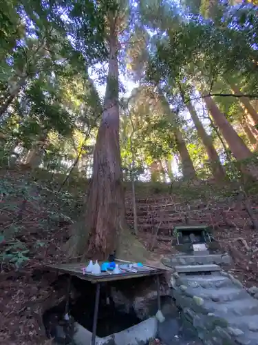 天岩戸神社(宮崎県)