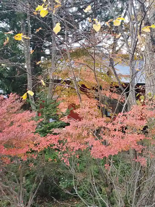 赤城神社の自然