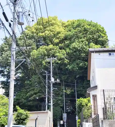 牟礼神明社の{uncategorized: "未分類", other: "その他", undefined: "問題あり", building: "その他建物", grave: "お墓", sacred_gate: "鳥居", guardian: "狛犬", statue: "像", buddha: "仏像", history: "歴史", nature: "自然", garden: "庭園", animal: "動物", pagoda: "塔", temizu: "手水舎", mountain_gate: "山門・神門", sanctuary: "本殿・本堂", subordinate: "末社・摂社", art: "芸術", scenery: "景色", jizo: "地蔵", ema: "絵馬", goshuin: "御朱印", omikuji: "おみくじ", items: "授与品その他", amulet: "お守り", goshuincho: "御朱印帳", eats: "食事", festival: "お祭り", votive_dance: "神楽", shichigosan: "七五三参", wedding: "結婚式", experience: "体験その他", initially: "初詣", around: "周辺", anti_infection: "感染症対策"}
