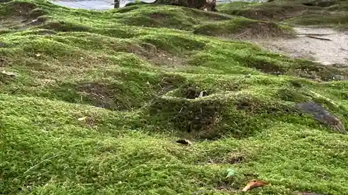 円通院(宮城県)