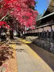 長圓寺の建物その他