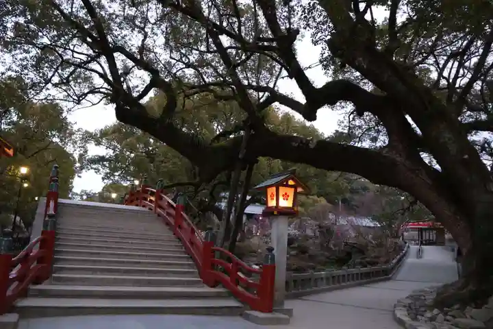 太宰府天満宮(福岡県)