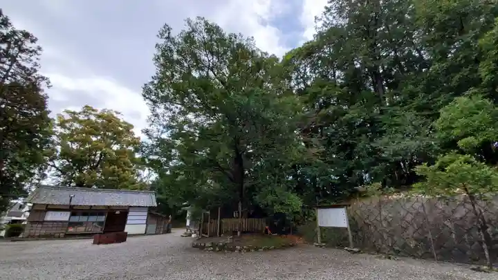宇賀多神社の自然