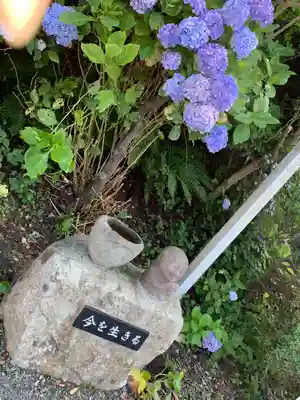 波立寺(波立薬師)の地蔵