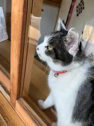 上中居諏訪神社(群馬県)