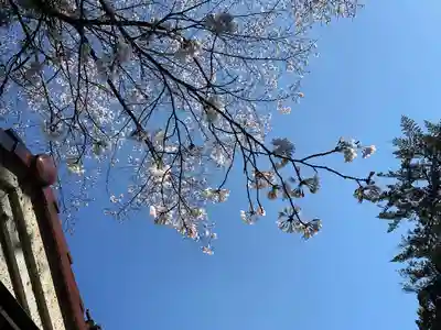滑川神社 - 仕事と子どもの守り神(福島県)
