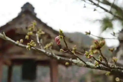 赤堂観音の自然