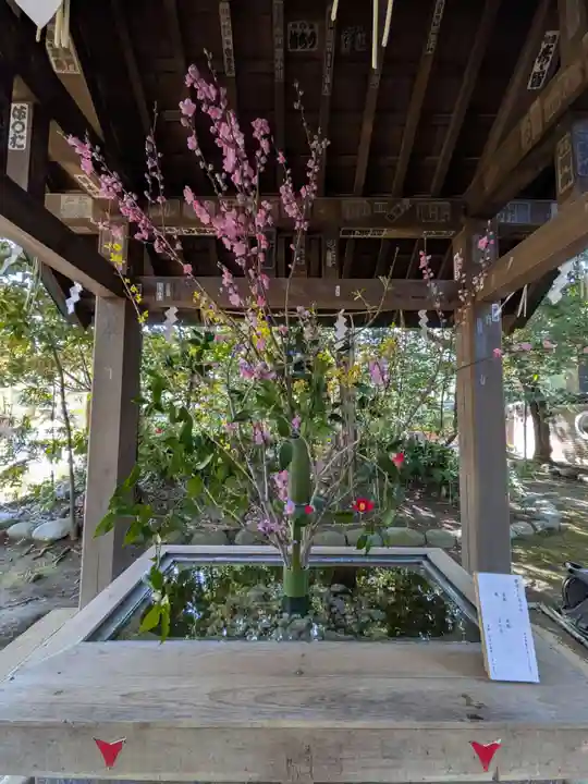 赤坂氷川神社(東京都)