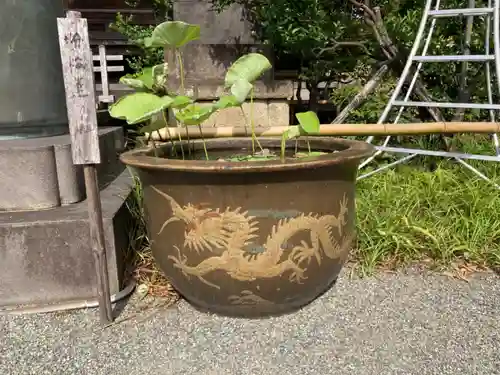 妙蓮寺のその他建物