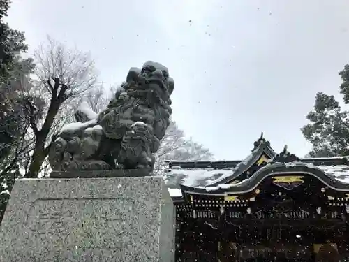 荻窪八幡神社の狛犬