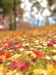 眞田神社(長野県)