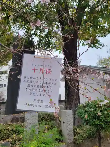 千住神社の自然