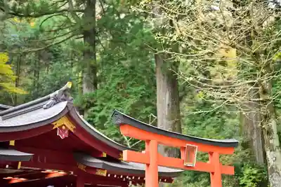 九頭龍神社新宮(神奈川県)
