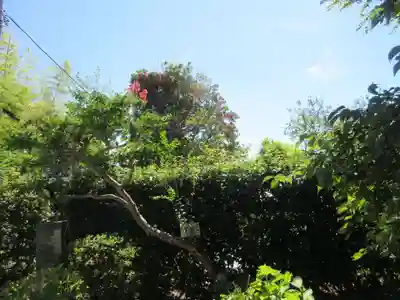 悟心寺(神奈川県)