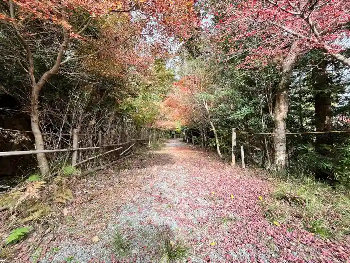 鍬山神社(京都府)