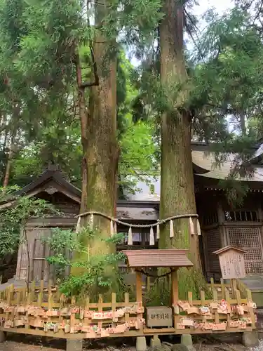 高千穂神社(宮崎県)