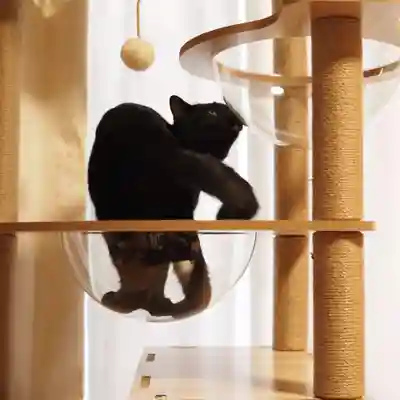 天王山 安楽寺(福井県)