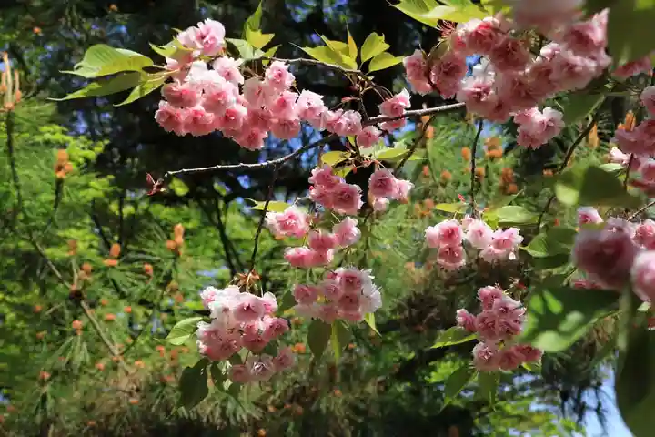 開成山大神宮の庭園