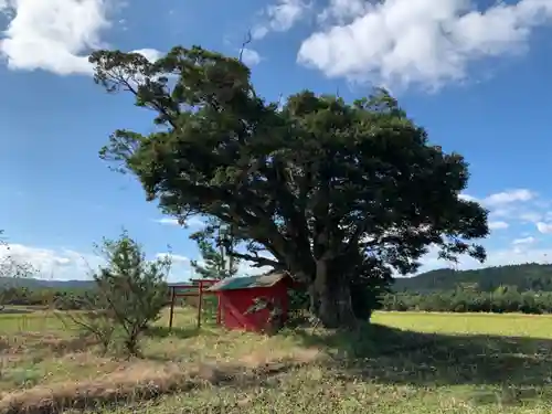 稲荷神社の景色