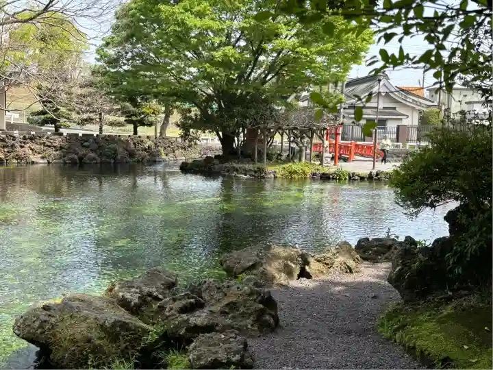 富士山本宮浅間大社(静岡県)