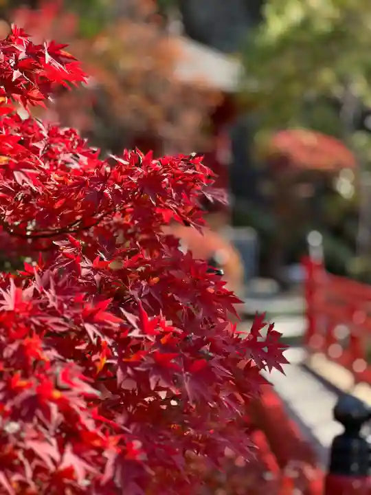 大谷寺(栃木県)
