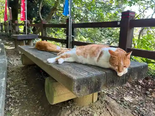 唐澤山神社(栃木県)