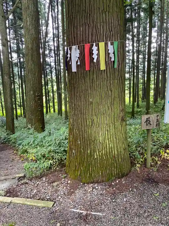 岩戸別神社の自然