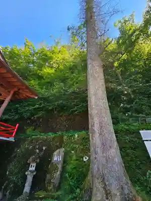 伊香保神社(群馬県)