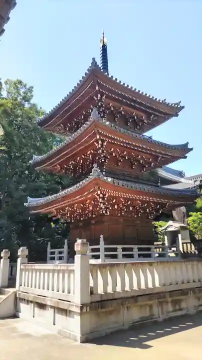 金蔵寺(千葉県)