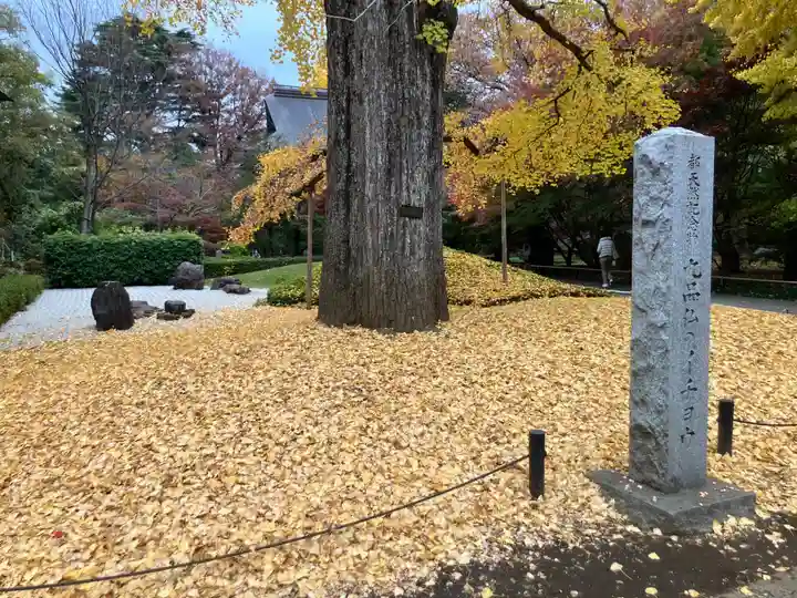 淨眞寺(東京都)