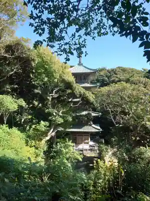 龍口寺(神奈川県)
