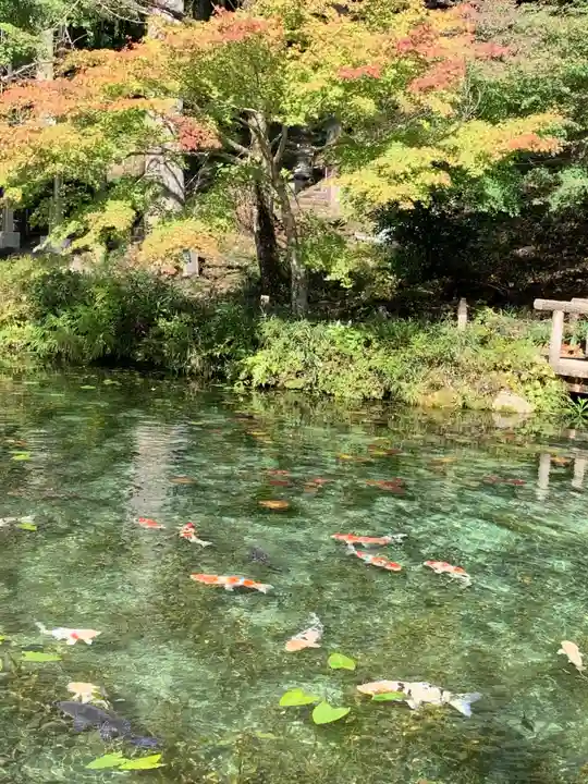 根道神社(岐阜県)