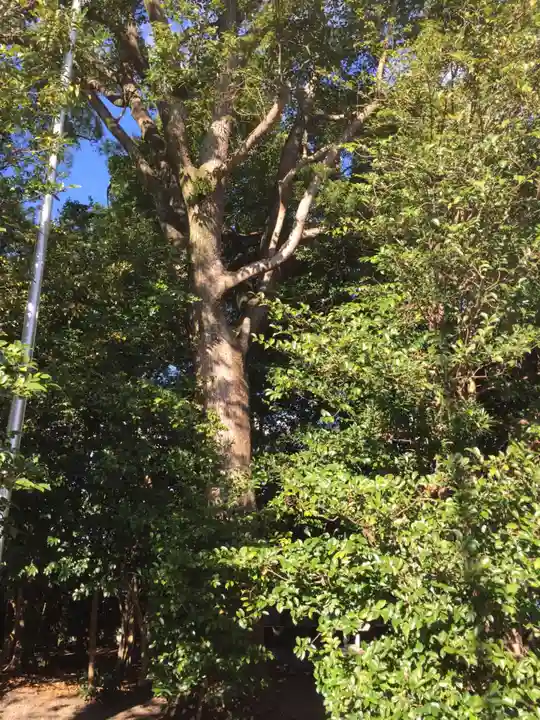 花岡神社の自然