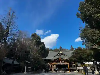 秩父神社の初詣